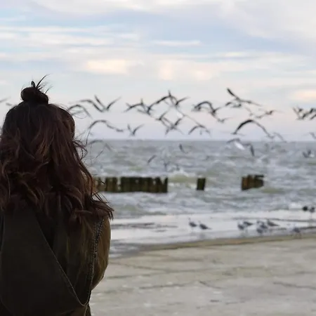 Neuklosterhof App. 16 * Pelzerhaken