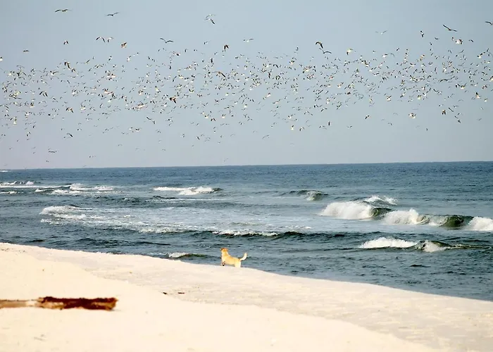 Apartamento Neuklosterhof App. 16 *